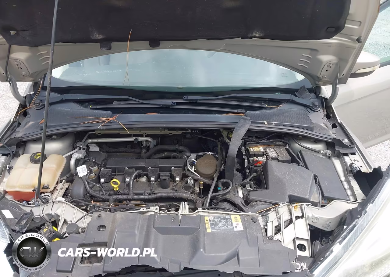 2016 Ford Focus Se VIN:1FADP3F20GL265863 - 10