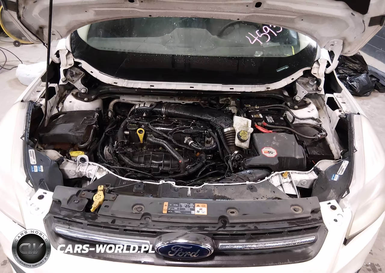 2014 Ford Escape Se VIN:1FMCU0GX2EUC48492 - 10
