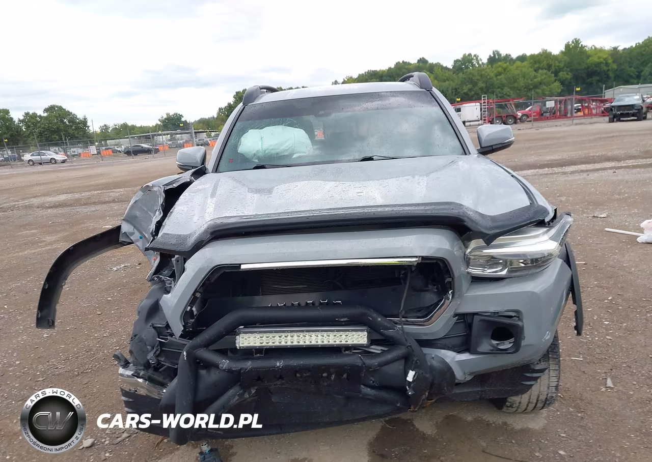 2019 Toyota Tacoma Double Cab-Sr-Sr5-Trd Sport-Trd Off Road-Trd Pro VIN:3TMCZ5AN1KM212089 - 13