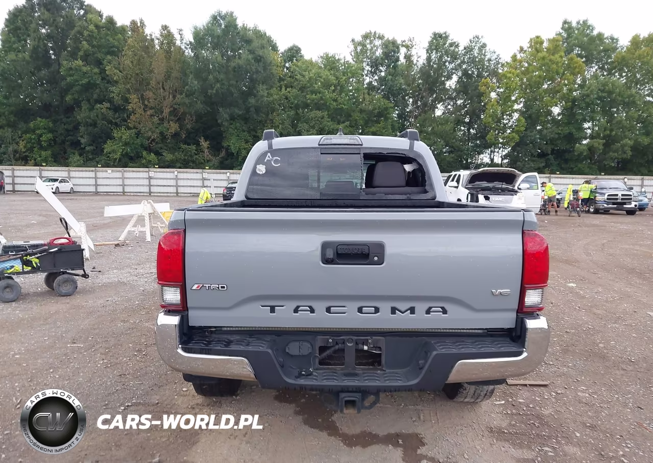2019 Toyota Tacoma Double Cab-Sr-Sr5-Trd Sport-Trd Off Road-Trd Pro VIN:3TMCZ5AN1KM212089 - 17