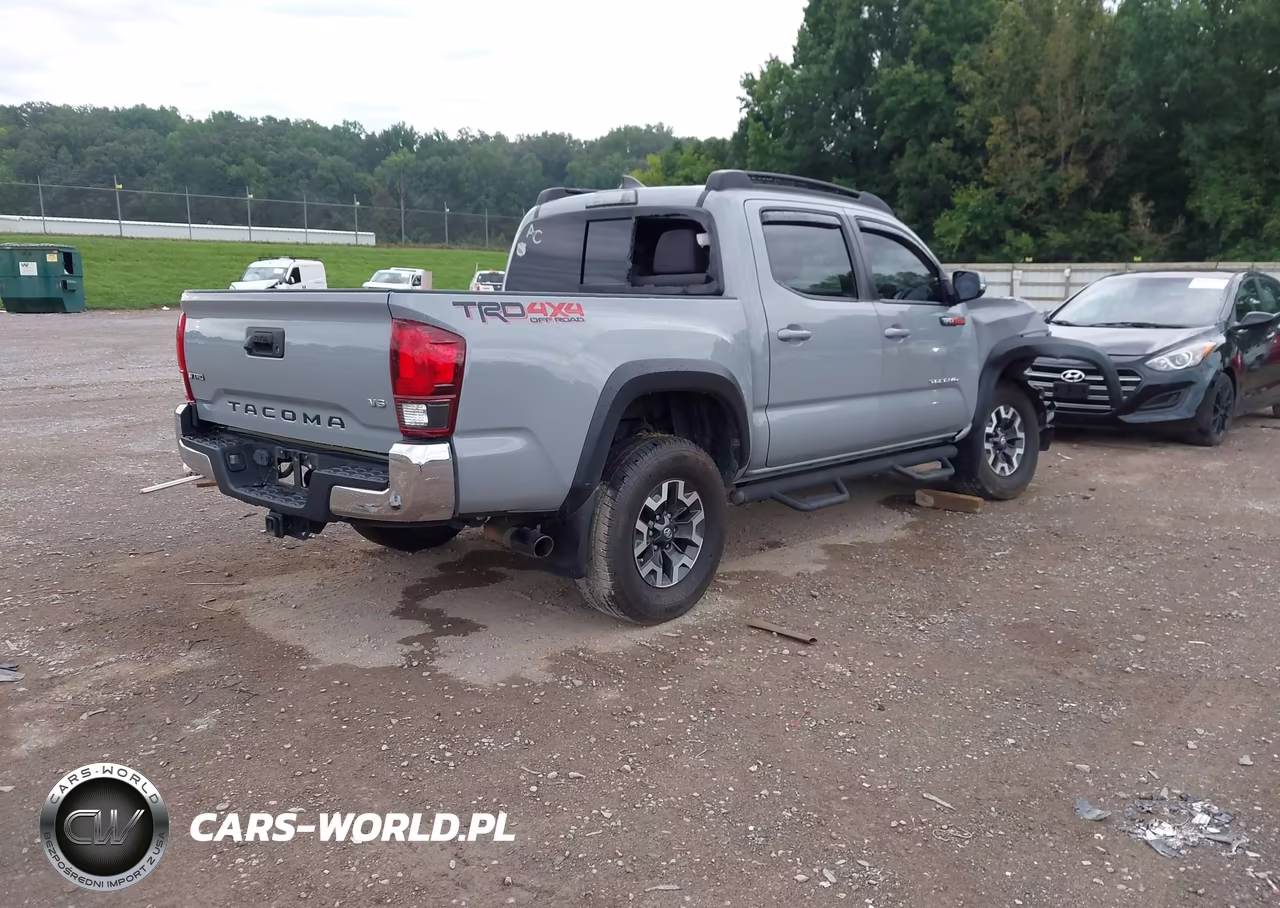 2019 Toyota Tacoma Double Cab-Sr-Sr5-Trd Sport-Trd Off Road-Trd Pro VIN:3TMCZ5AN1KM212089 - 4