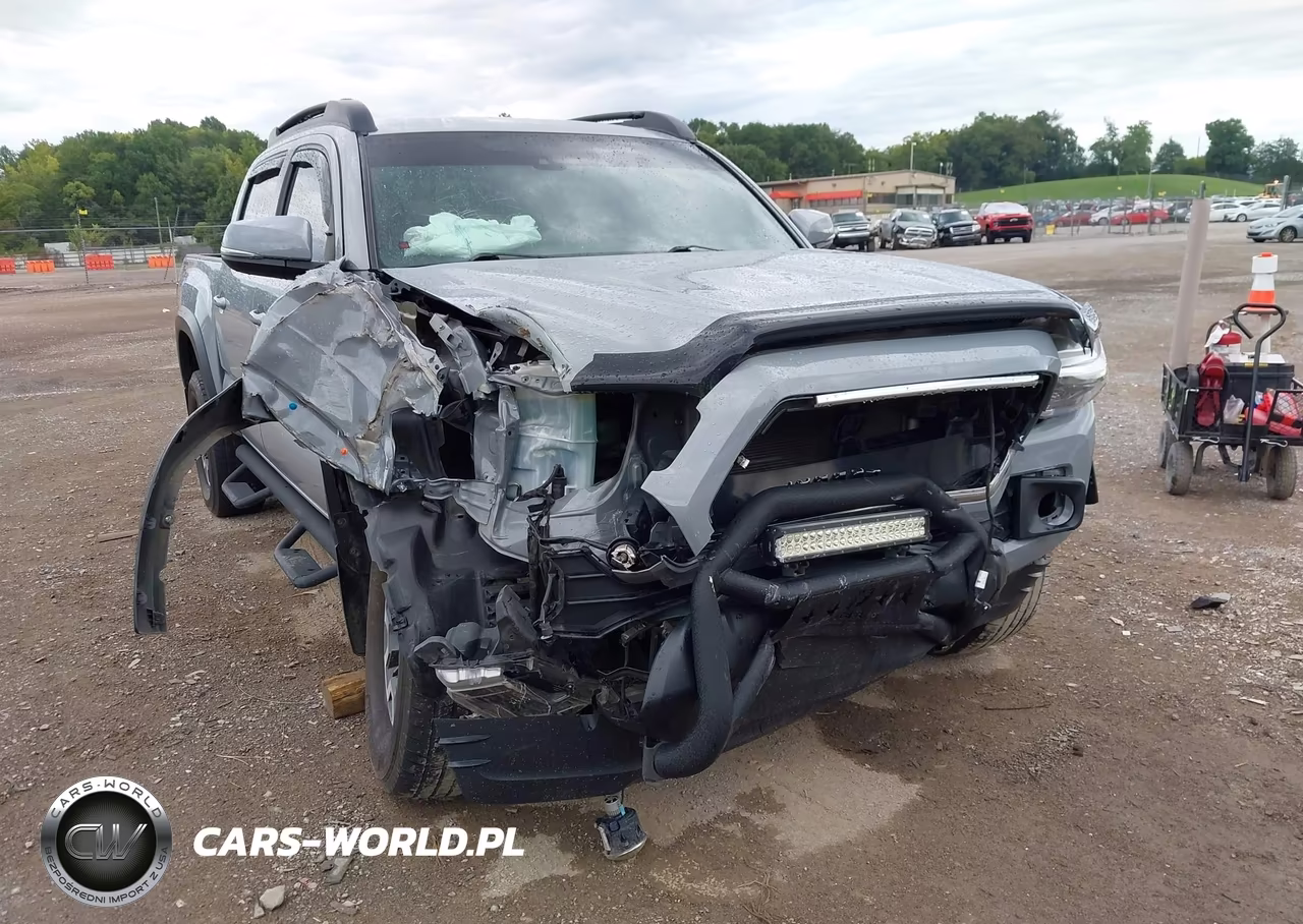 2019 Toyota Tacoma Double Cab-Sr-Sr5-Trd Sport-Trd Off Road-Trd Pro VIN:3TMCZ5AN1KM212089 - 6