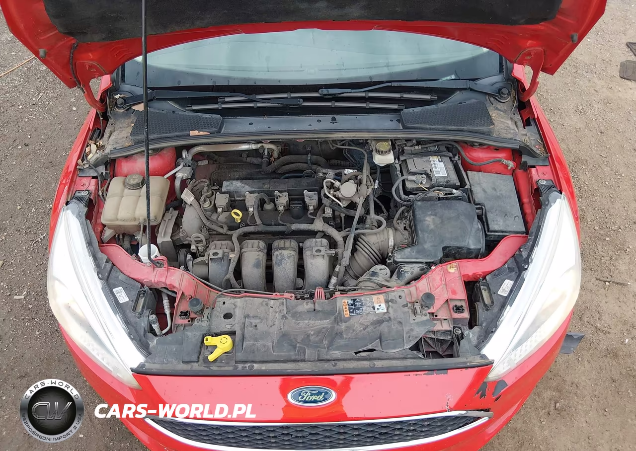 2017 Ford Focus Se VIN:1FADP3K29HL217091 - 10