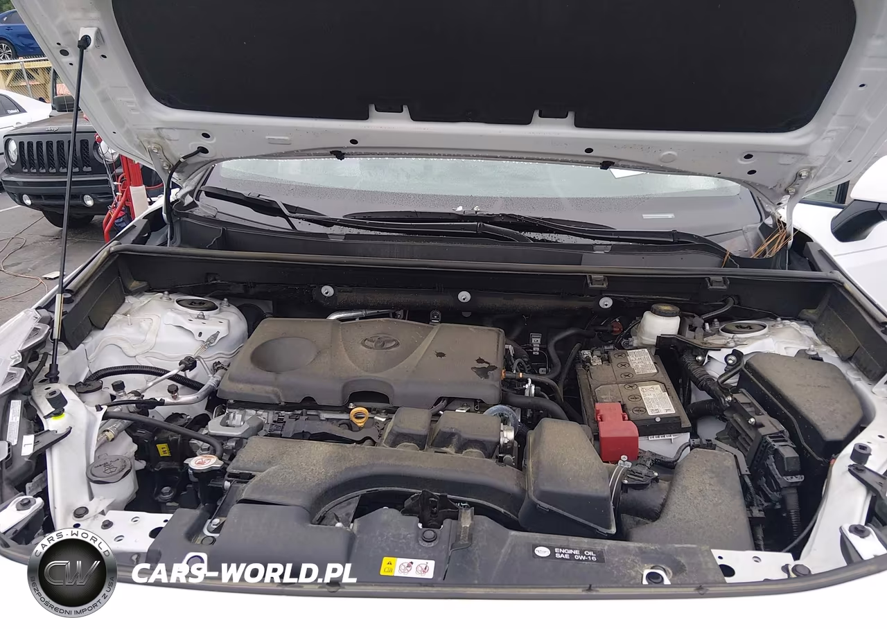 2024 Toyota Rav4 Xle VIN:2T3W1RFV7RW336686 - 10