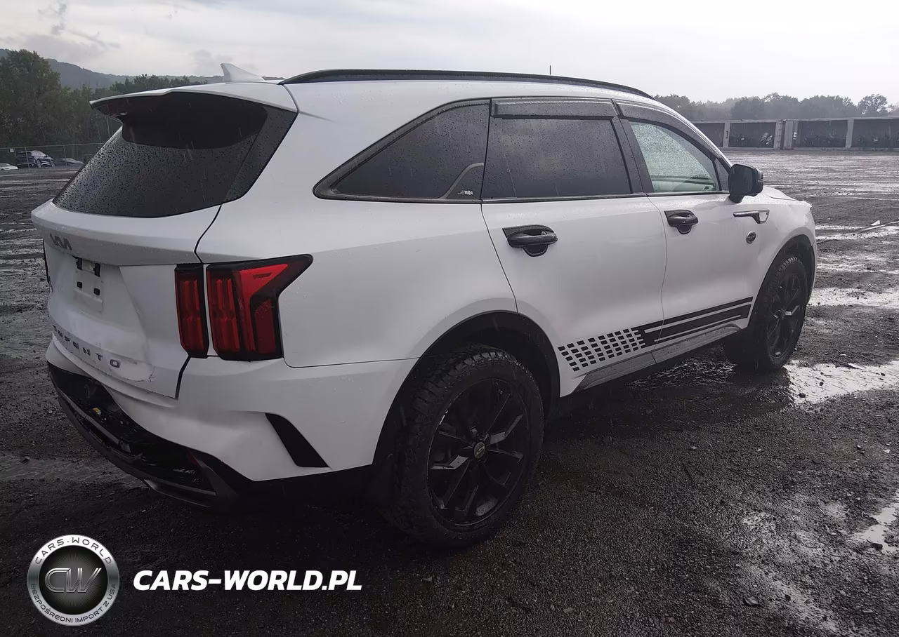 2022 Kia Sorento Sx-X-Line Sx Prestige VIN:5XYRKDLF0NG093662 - 4