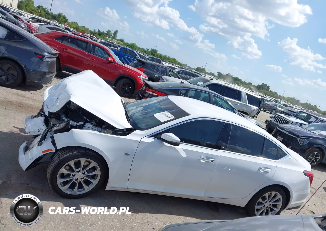 2024 Cadillac Ct5 Premium Luxury VIN:1G6DN5RK9R0107620 - 14