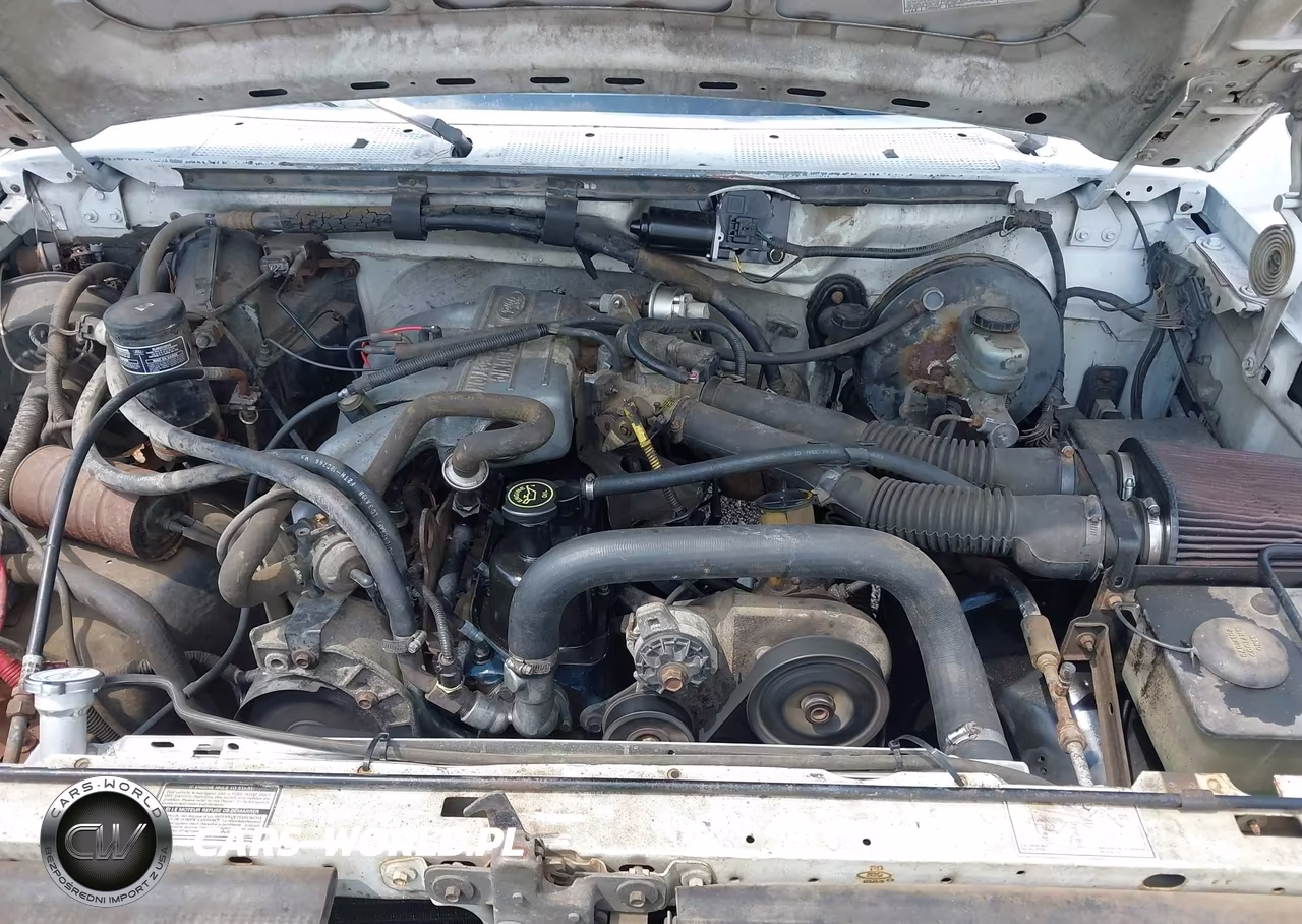 1993 Ford F150 VIN:1FTDF15Y5PNA65086 - 10