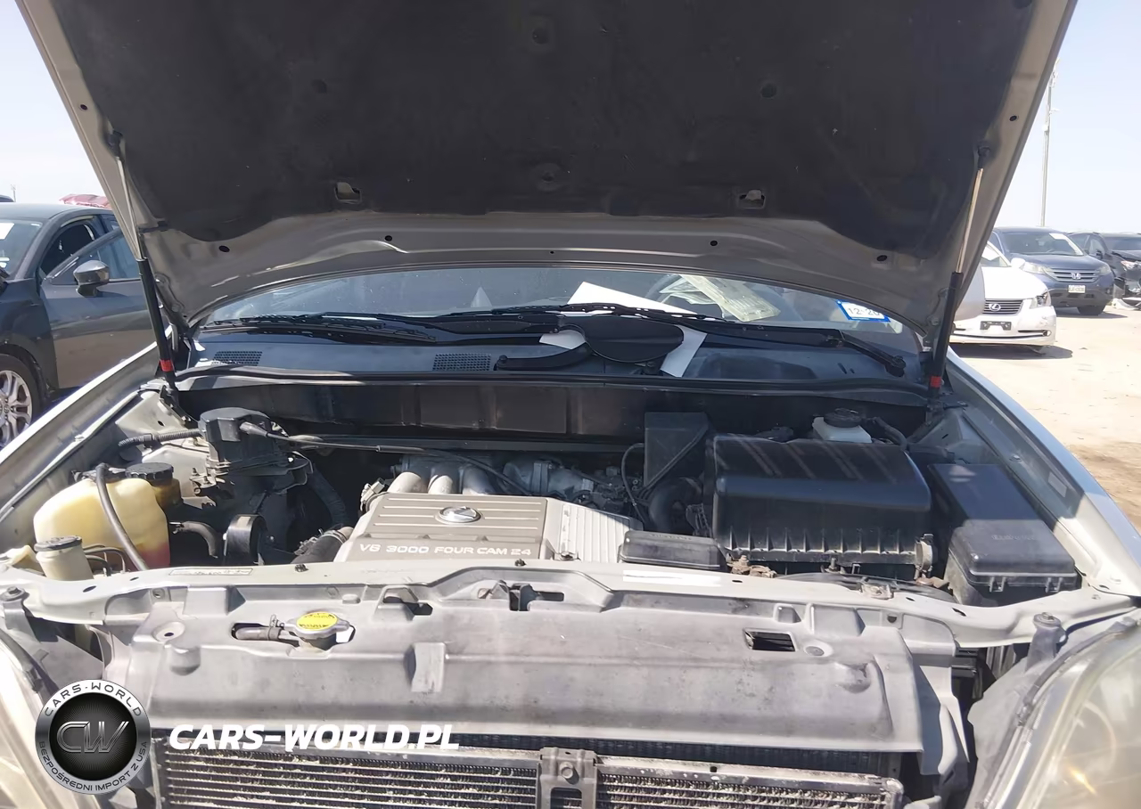 2000 Lexus Rx 300 VIN:JT6GF10U4Y0067211 - 10