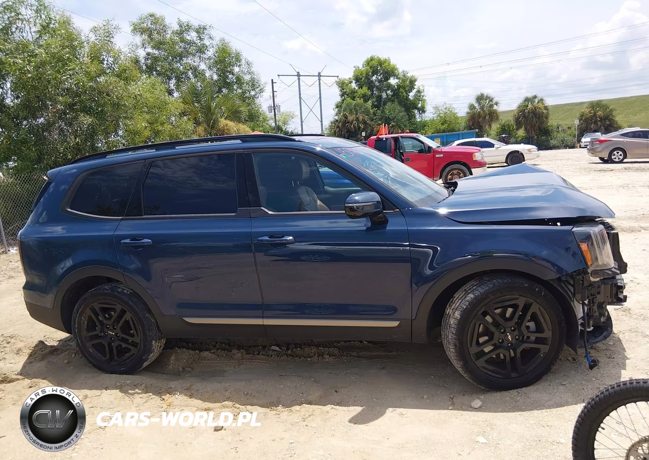 2023 Kia Telluride Sx X-Line VIN:5XYP5DGC2PG375934 - 13