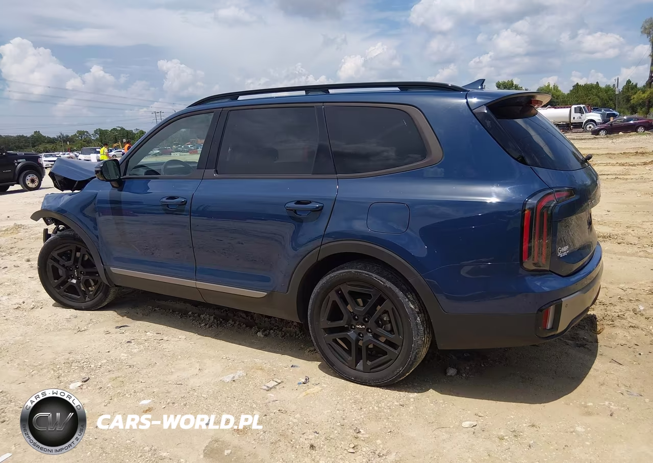 2023 Kia Telluride Sx X-Line VIN:5XYP5DGC2PG375934 - 14