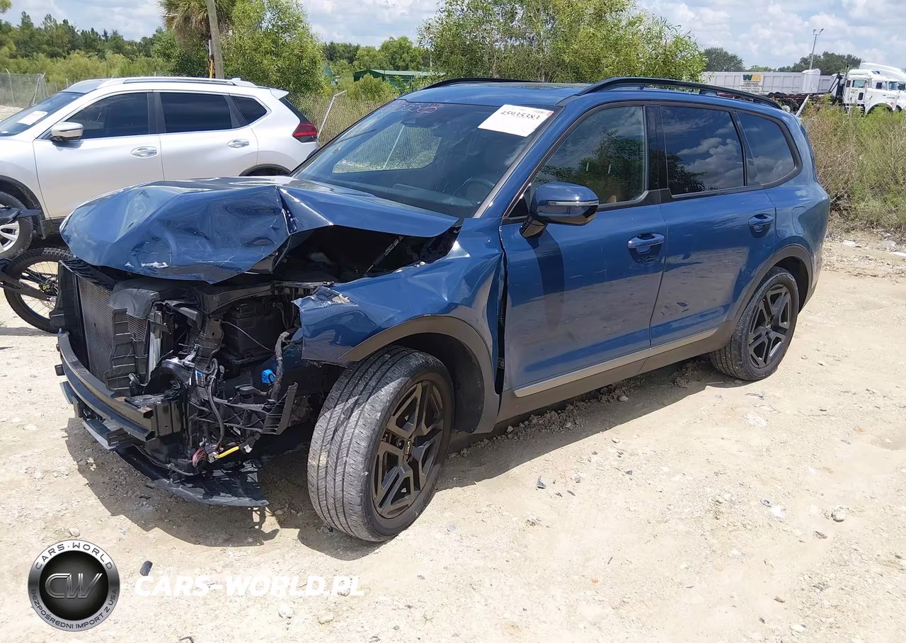 2023 Kia Telluride Sx X-Line VIN:5XYP5DGC2PG375934 - 2