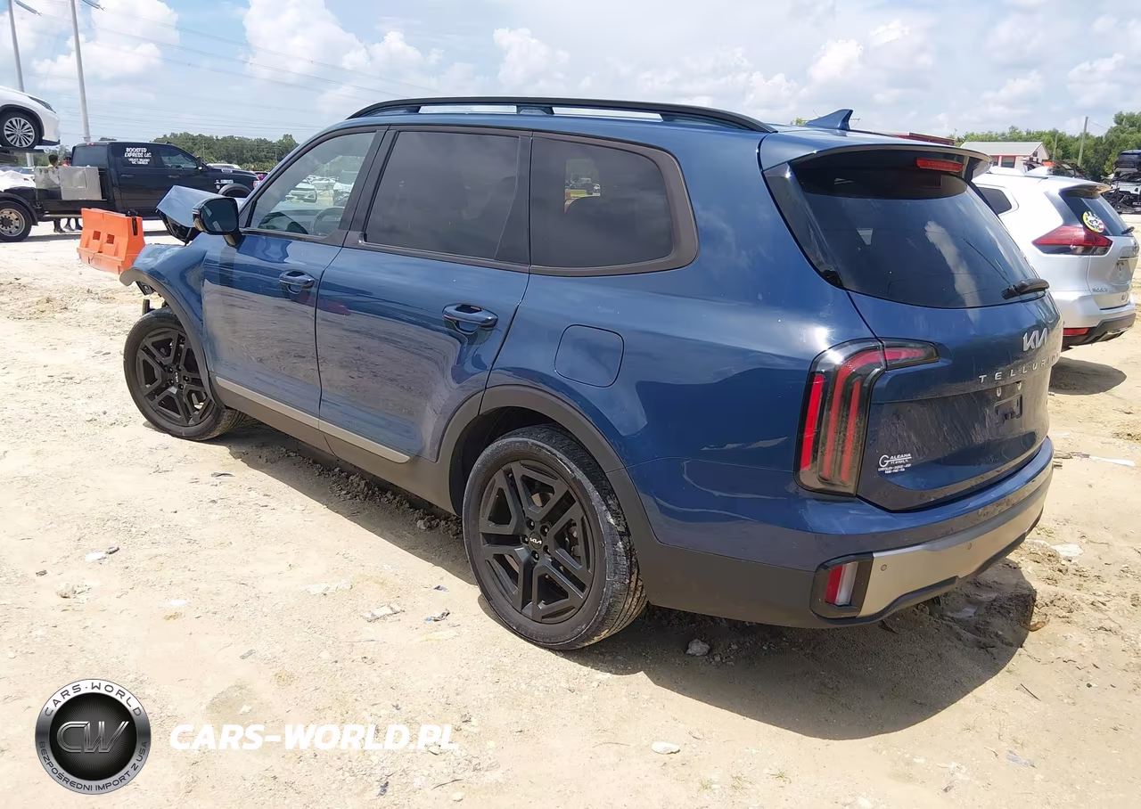 2023 Kia Telluride Sx X-Line VIN:5XYP5DGC2PG375934 - 3
