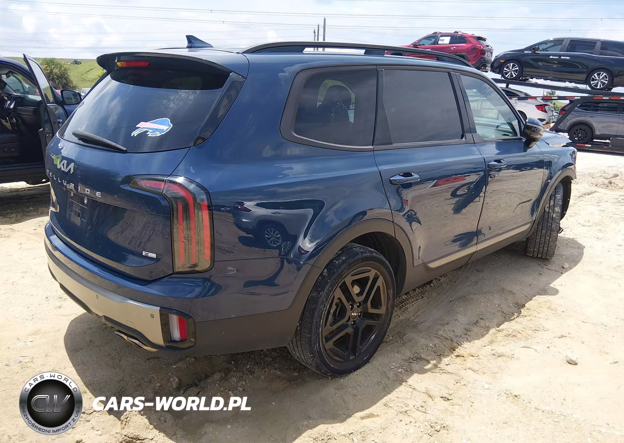 2023 Kia Telluride Sx X-Line VIN:5XYP5DGC2PG375934 - 4