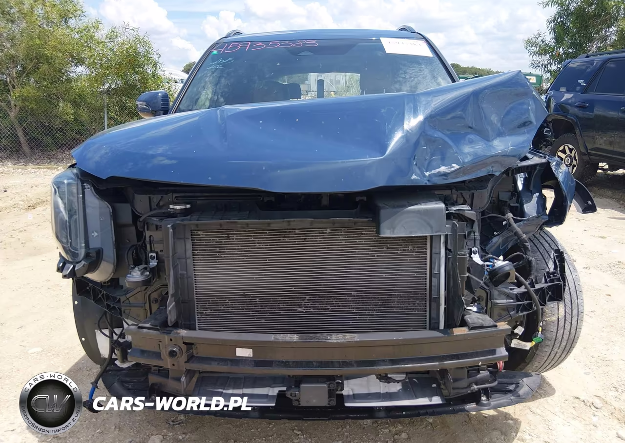 2023 Kia Telluride Sx X-Line VIN:5XYP5DGC2PG375934 - 6