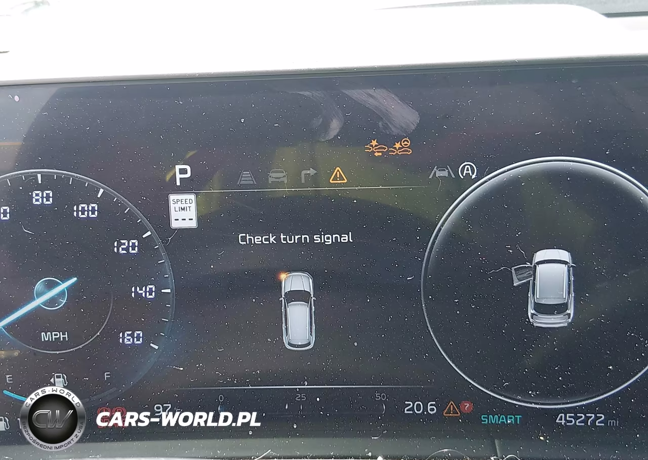 2023 Kia Telluride Sx X-Line VIN:5XYP5DGC2PG375934 - 7