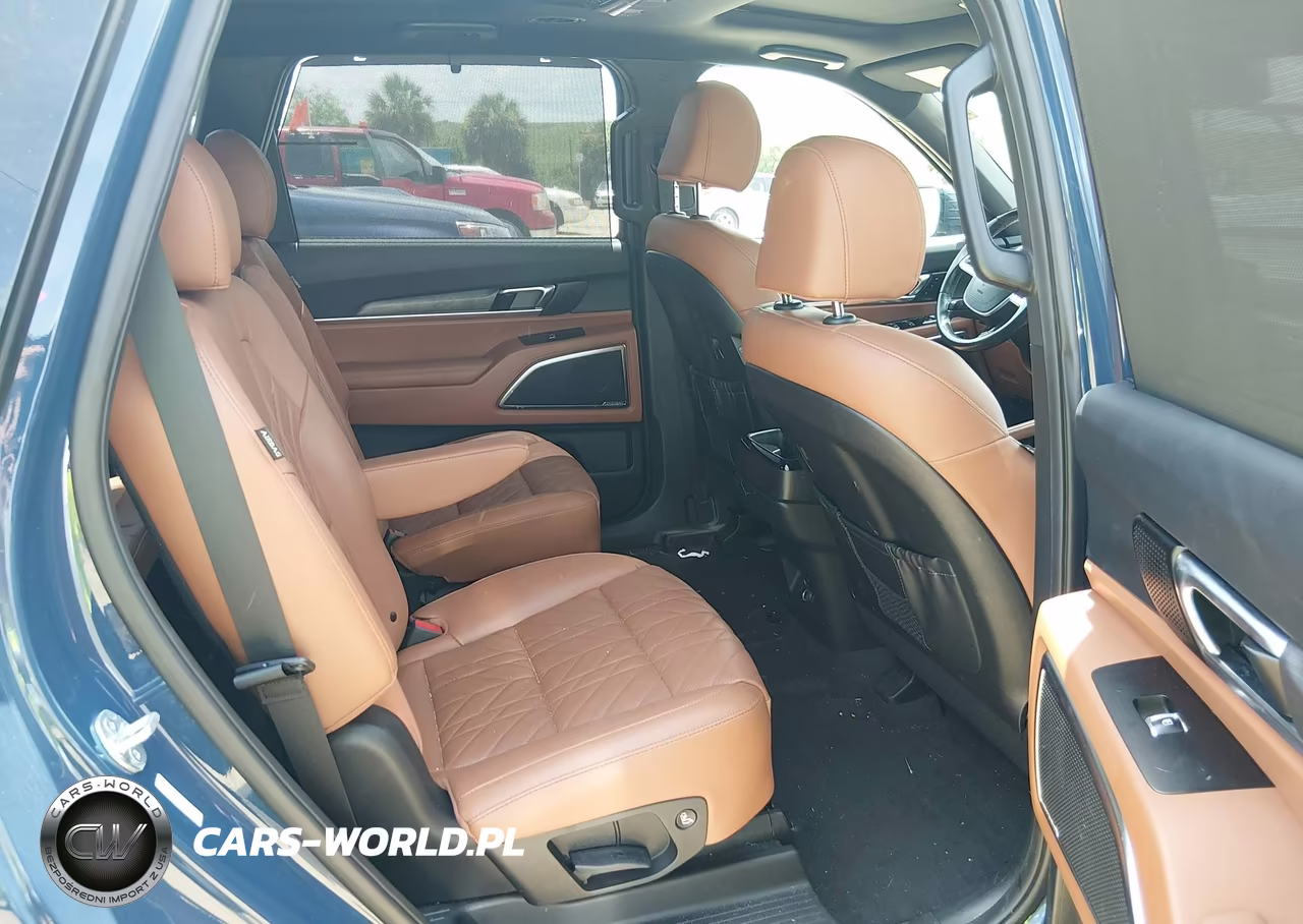 2023 Kia Telluride Sx X-Line VIN:5XYP5DGC2PG375934 - 8