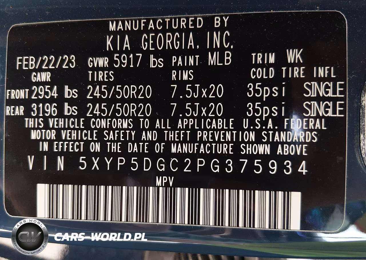 2023 Kia Telluride Sx X-Line VIN:5XYP5DGC2PG375934 - 9
