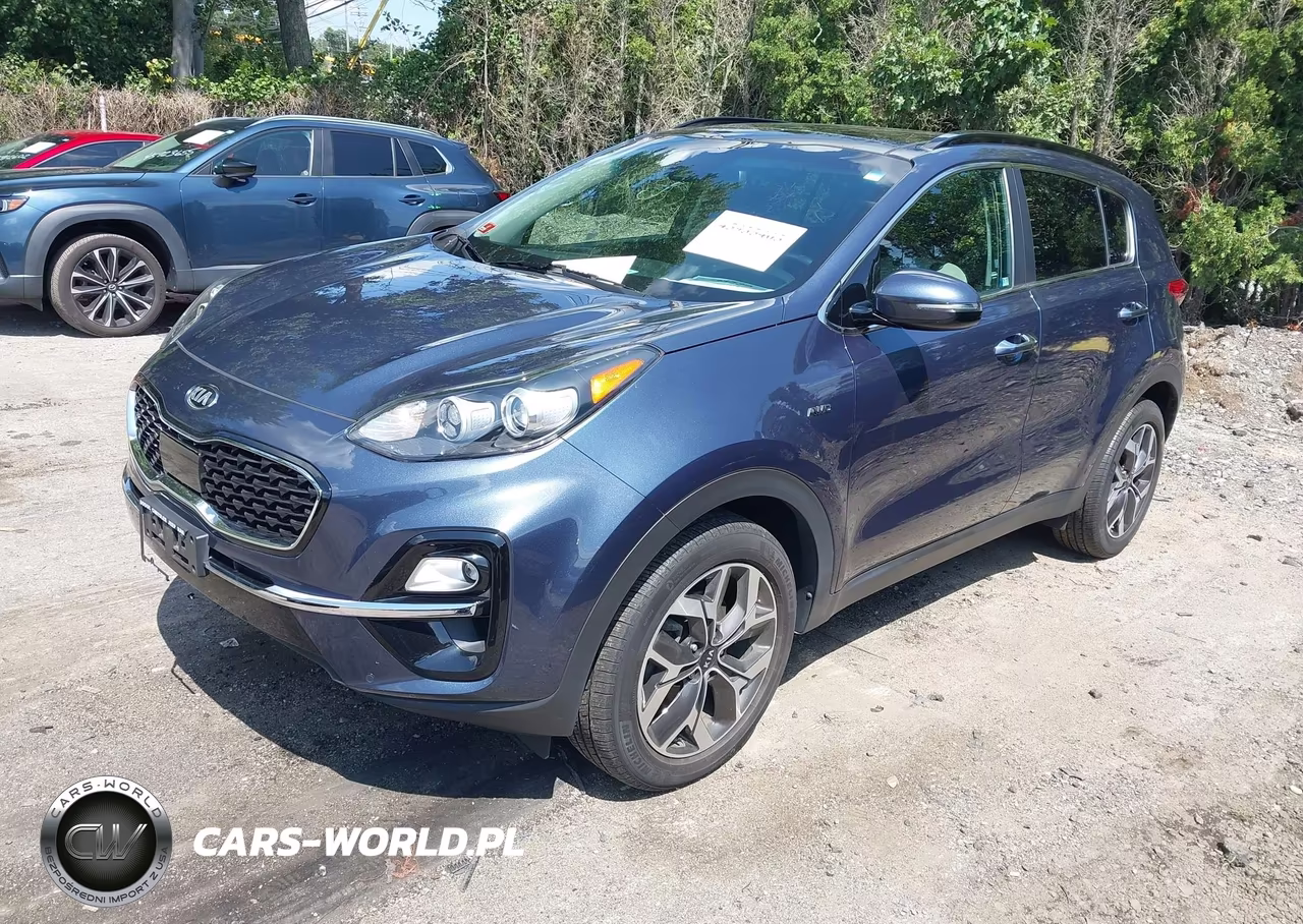 2022 Kia Sportage Ex VIN:KNDPNCAC3N7020509 - 2