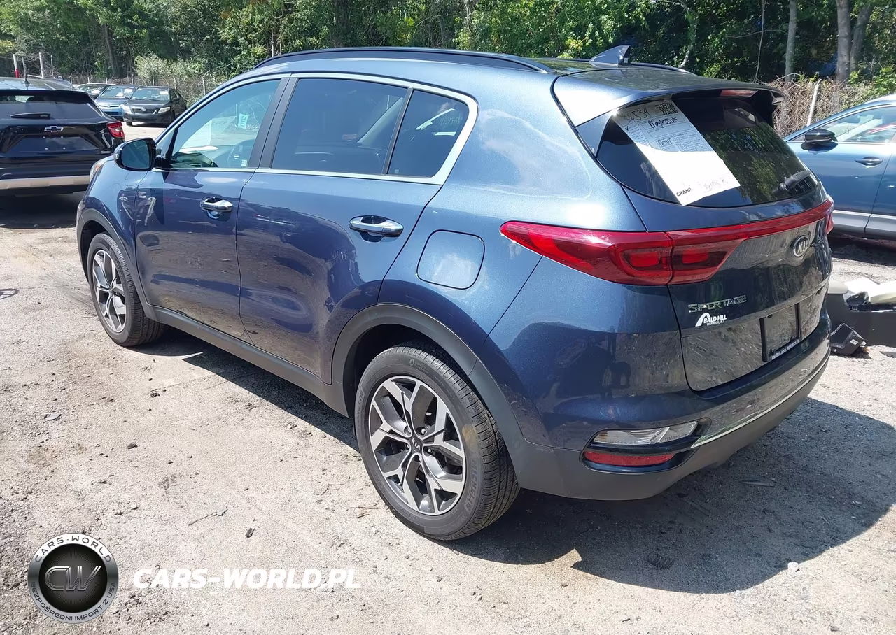 2022 Kia Sportage Ex VIN:KNDPNCAC3N7020509 - 3