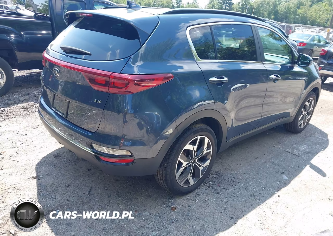 2022 Kia Sportage Ex VIN:KNDPNCAC3N7020509 - 4