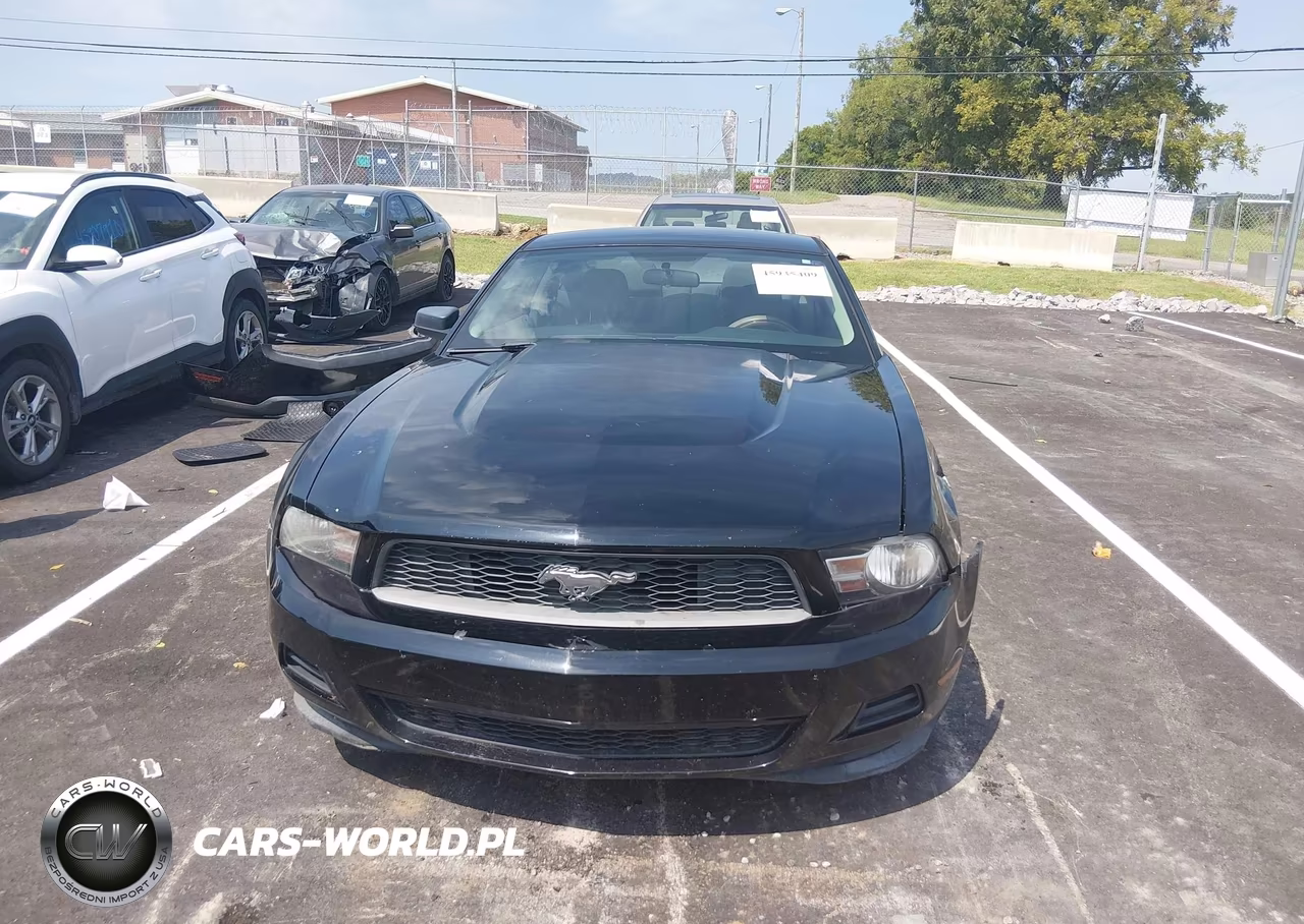 2011 Ford Mustang V6 VIN:1ZVBP8AM1B5136144 - 13