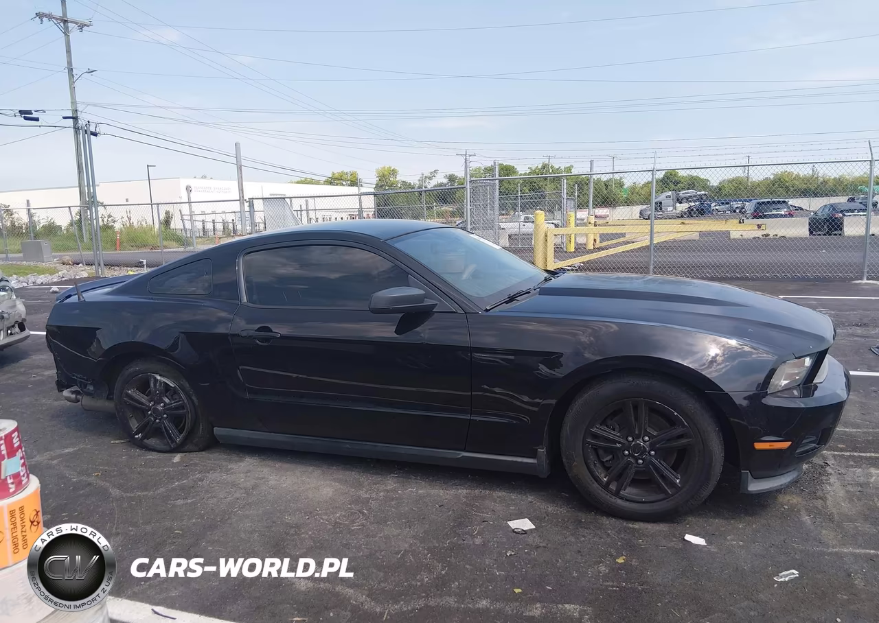 2011 Ford Mustang V6 VIN:1ZVBP8AM1B5136144 - 14