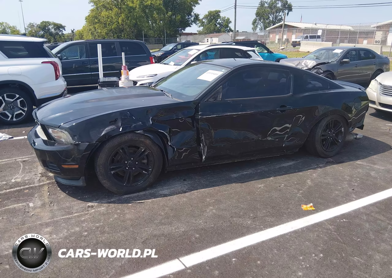 2011 Ford Mustang V6 VIN:1ZVBP8AM1B5136144 - 2