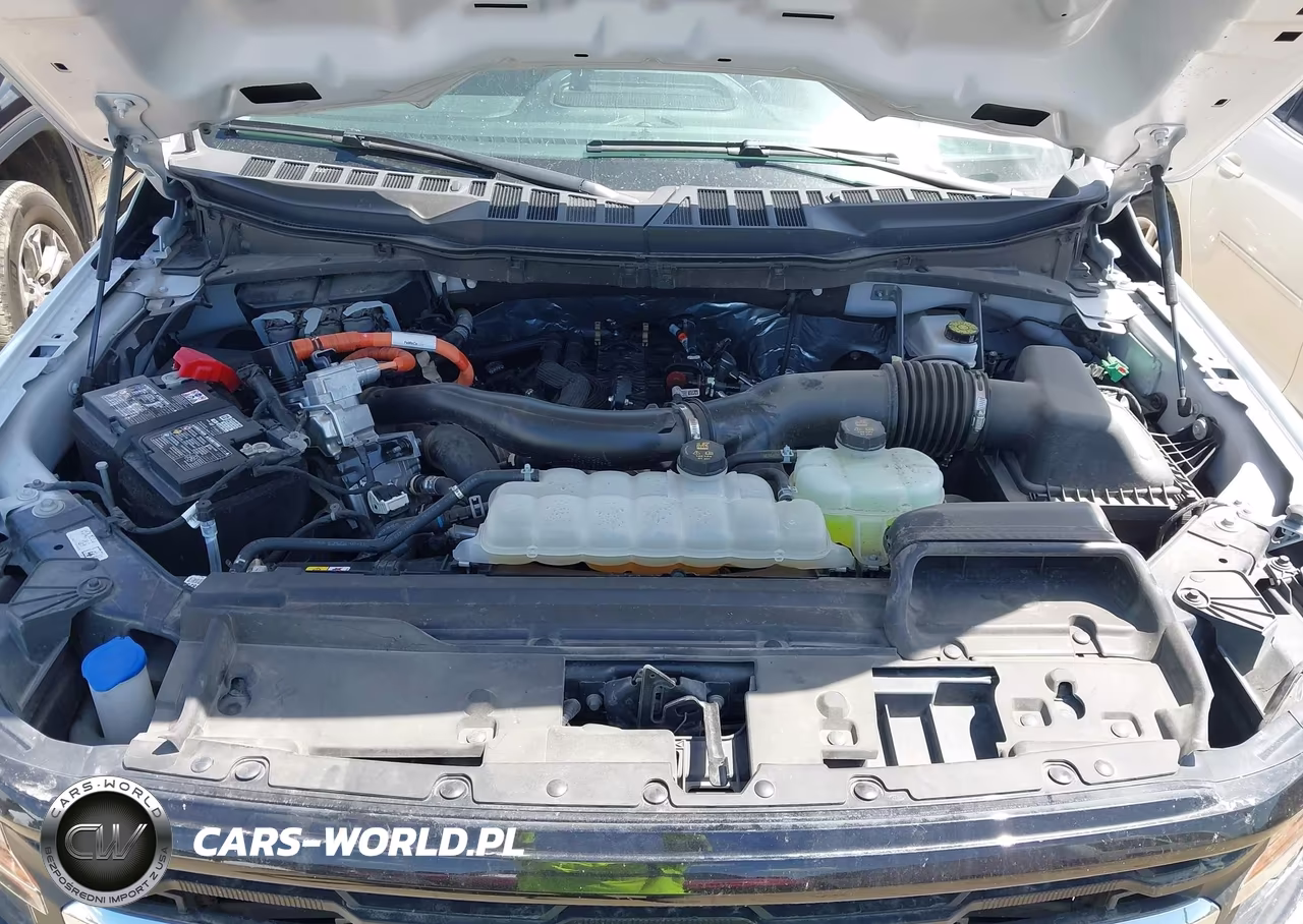 2025 Ford F-150 Xlt VIN:1FTFW3LDXSFA80481 - 10
