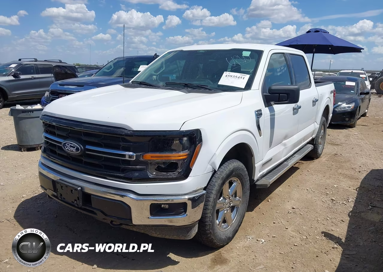 2025 Ford F-150 Xlt VIN:1FTFW3LDXSFA80481 - 2