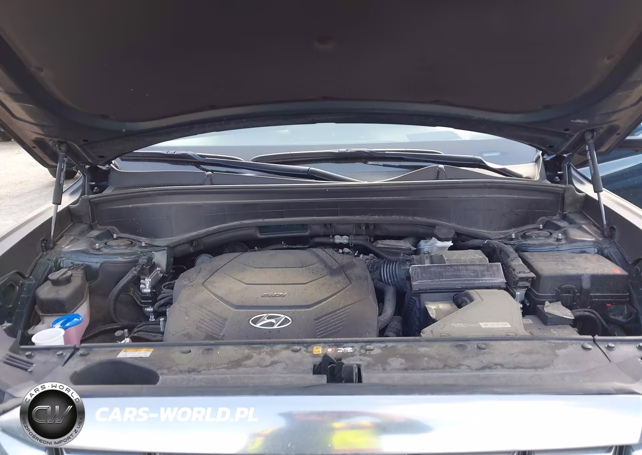 2024 Hyundai Palisade Calligraphy VIN:KM8R74GE0RU730603 - 10