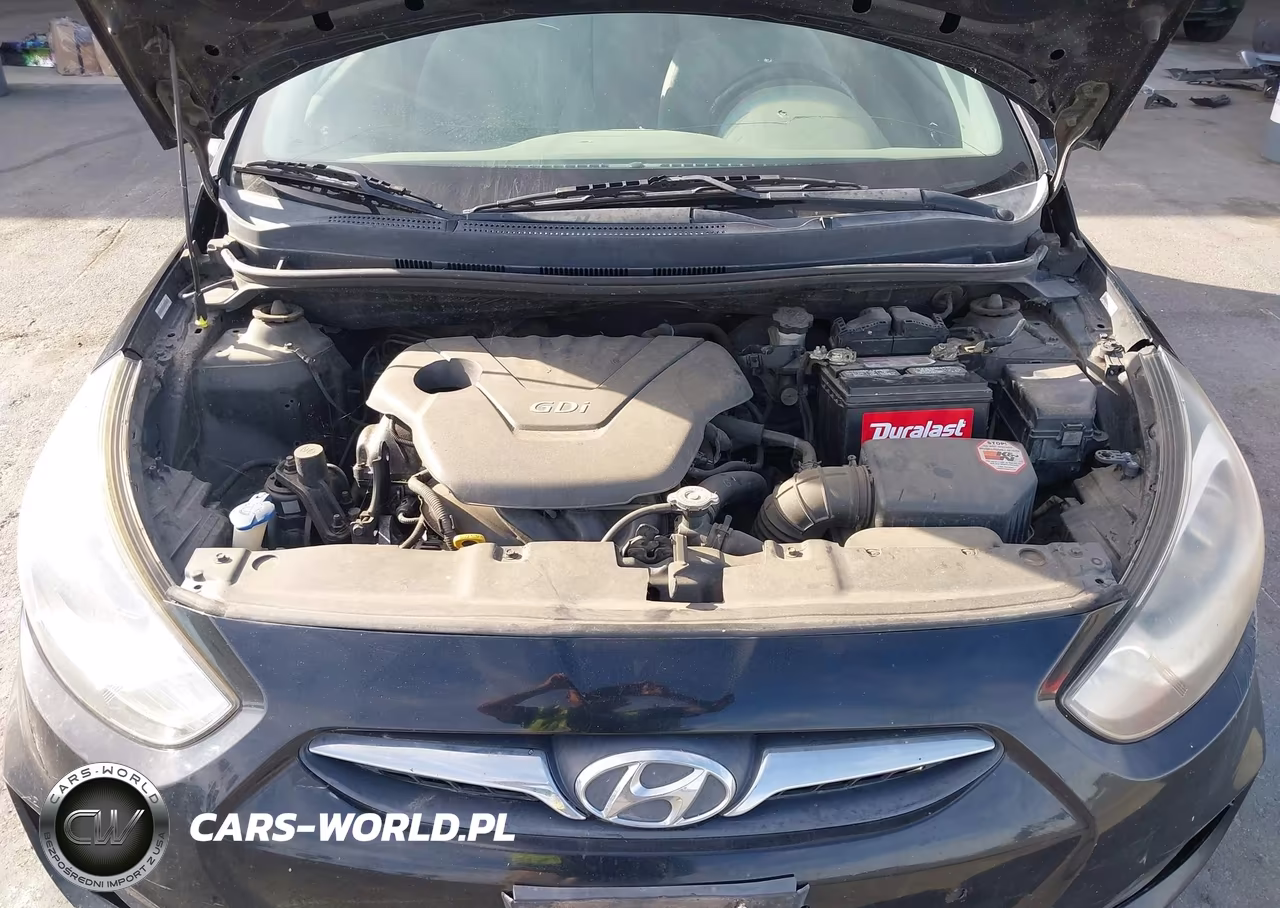 2012 Hyundai Accent Se VIN:KMHCU5AE1CU013907 - 10