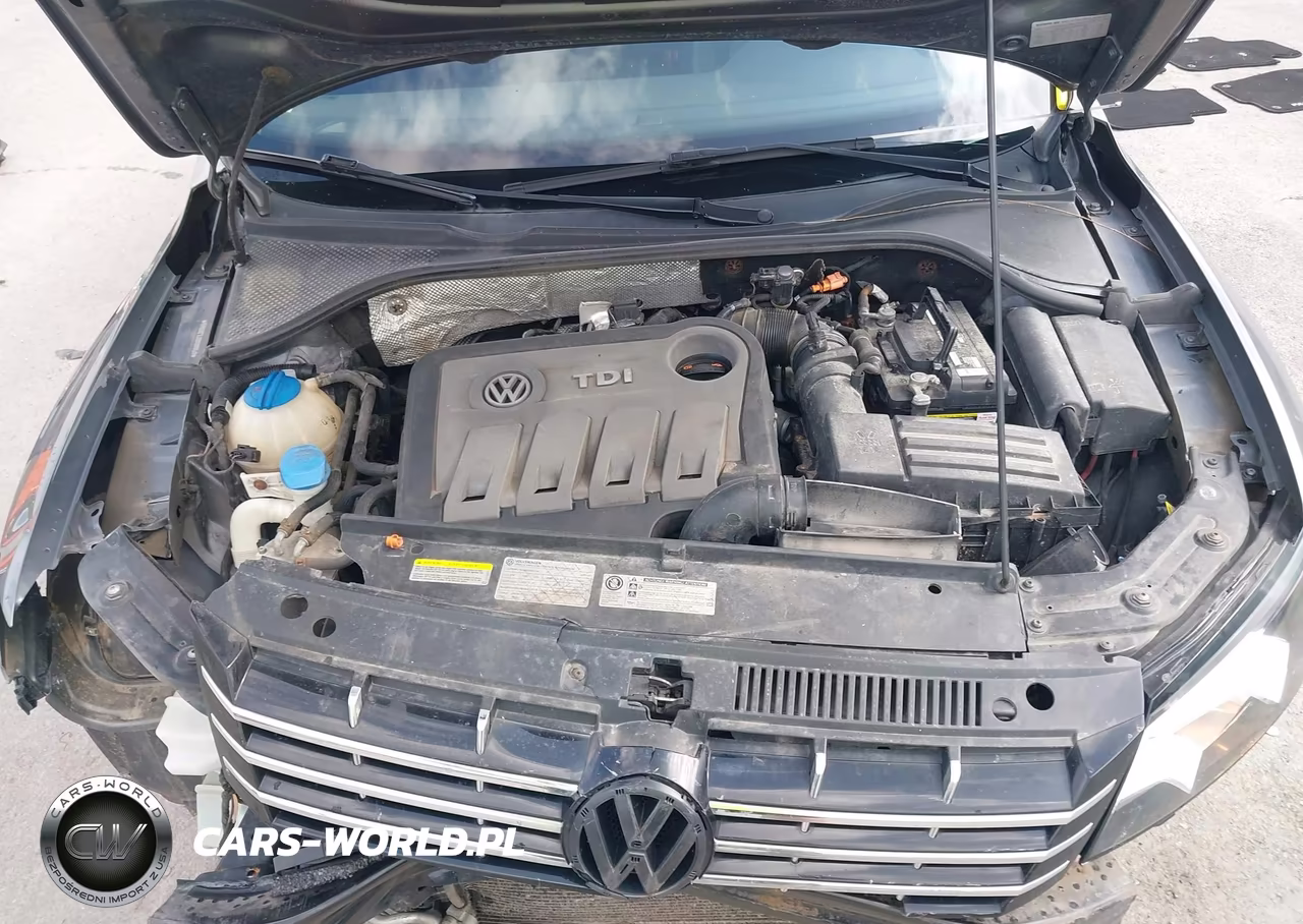 2013 Volkswagen Passat 2.0L Tdi Se VIN:1VWBN7A35DC068436 - 10