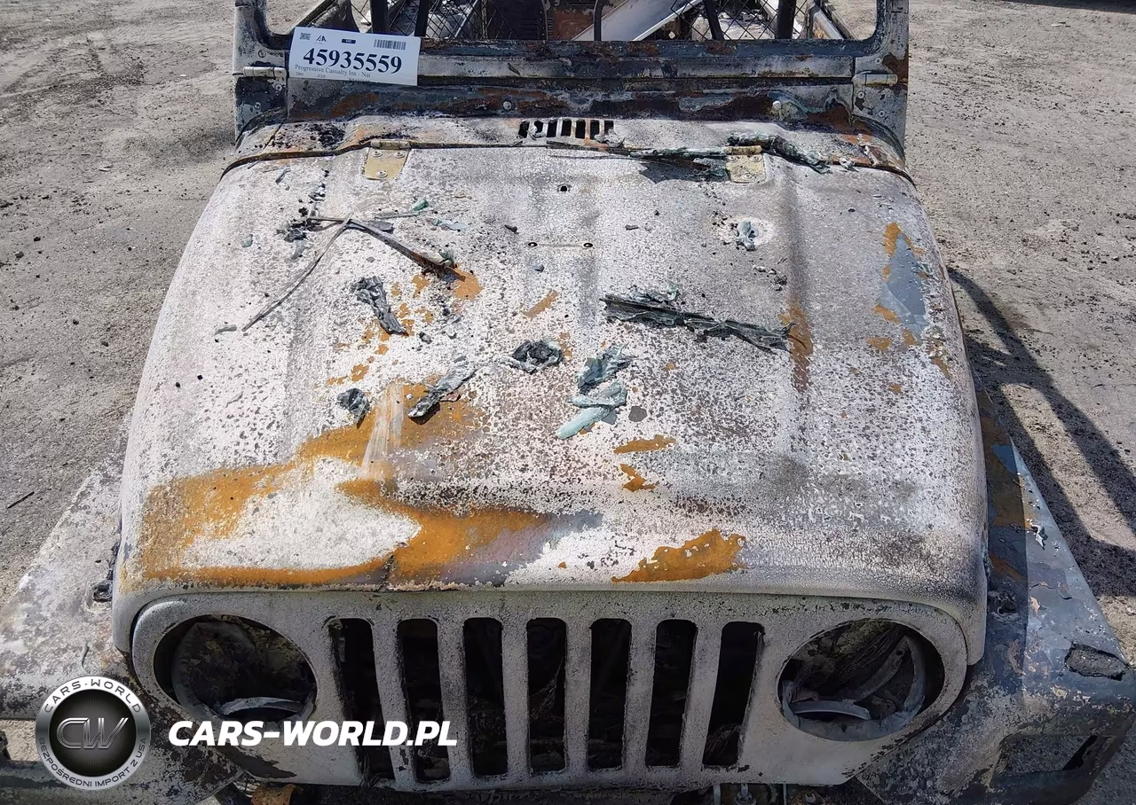 2004 Jeep Wrangler Sahara VIN:1J4FA59S24P738429 - 10