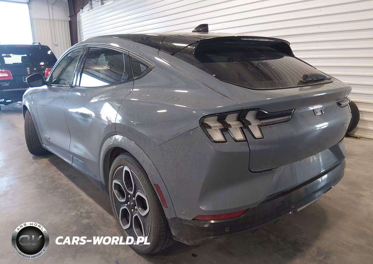 2023 Ford Mustang Mach-E Gt VIN:3FMTK4SEXPMA56537 - 22