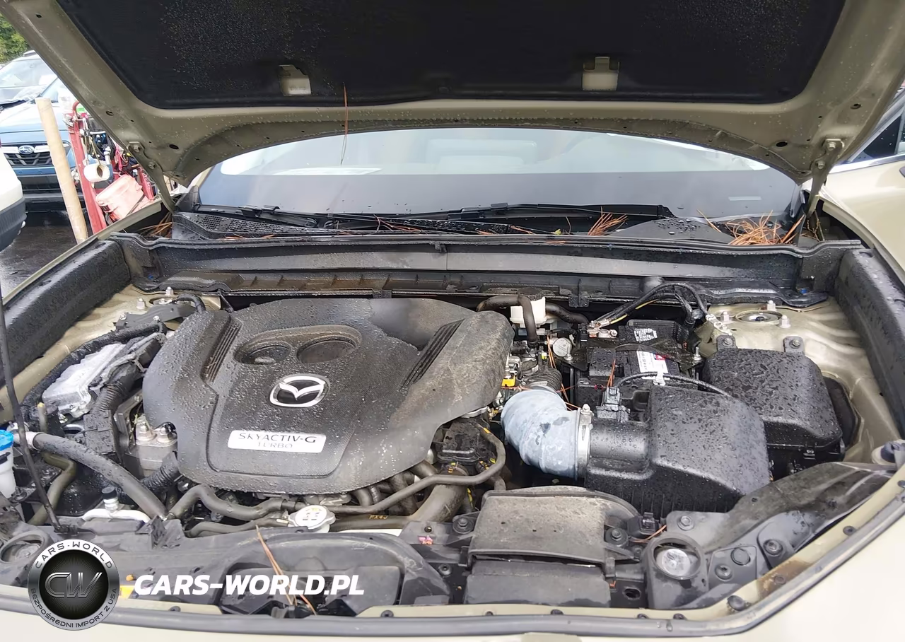 2024 Mazda Cx-30 2.5 Carbon Turbo VIN:3MVDMBXY1RM610527 - 10