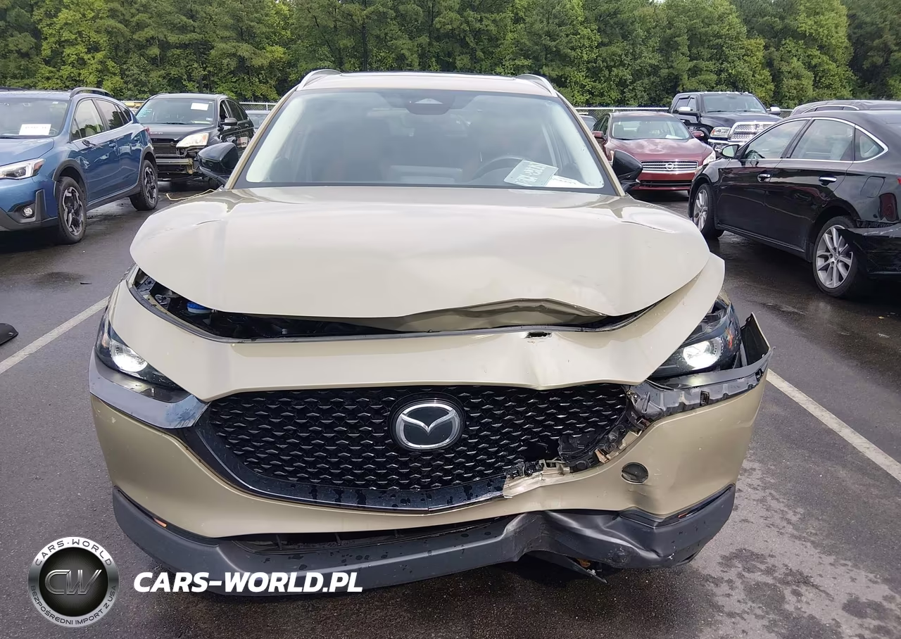2024 Mazda Cx-30 2.5 Carbon Turbo VIN:3MVDMBXY1RM610527 - 12