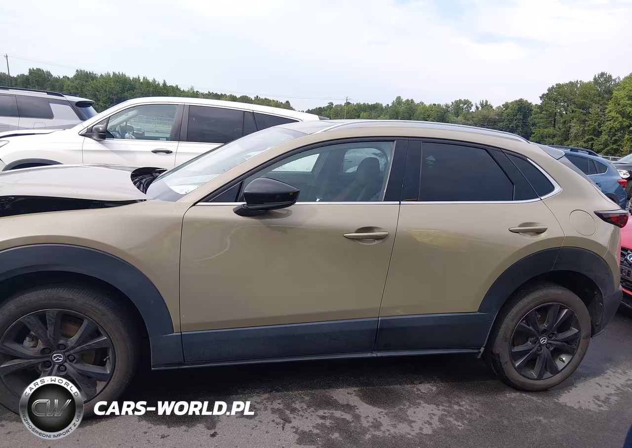 2024 Mazda Cx-30 2.5 Carbon Turbo VIN:3MVDMBXY1RM610527 - 14