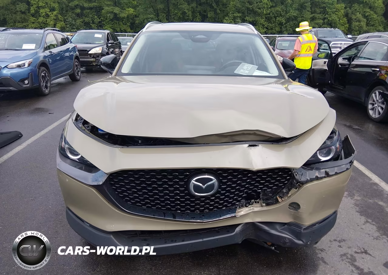 2024 Mazda Cx-30 2.5 Carbon Turbo VIN:3MVDMBXY1RM610527 - 6