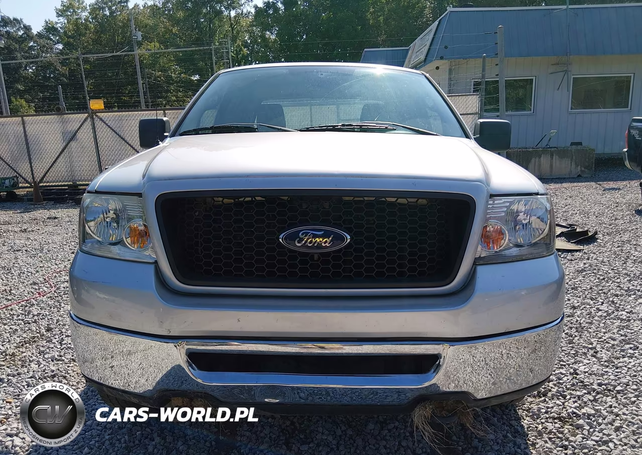 2006 Ford F-150 VIN:1FTPX14V16NB06443 - 13