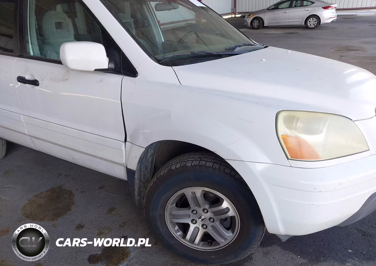 2004 Honda Pilot Ex VIN:2HKYF18484H562879 - 14