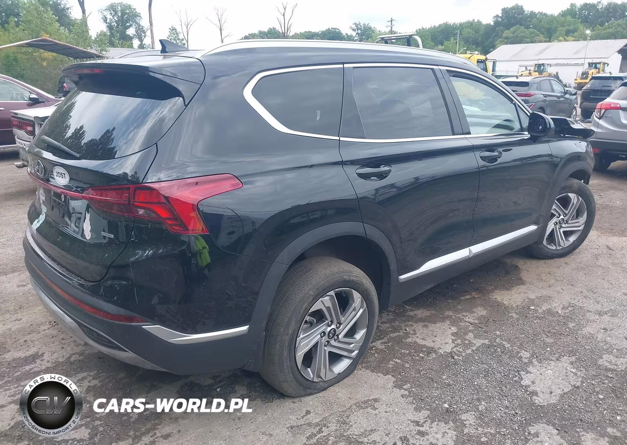 2022 Hyundai Santa Fe Sel VIN:5NMS2DAJ8NH458121 - 4