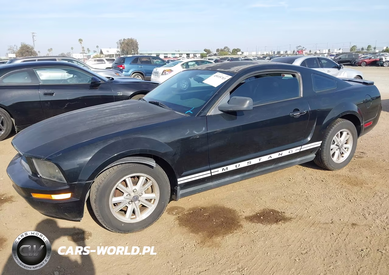 2007 Ford Mustang V6 Deluxe-V6 Premium VIN:1ZVFT80N675341571 - 2