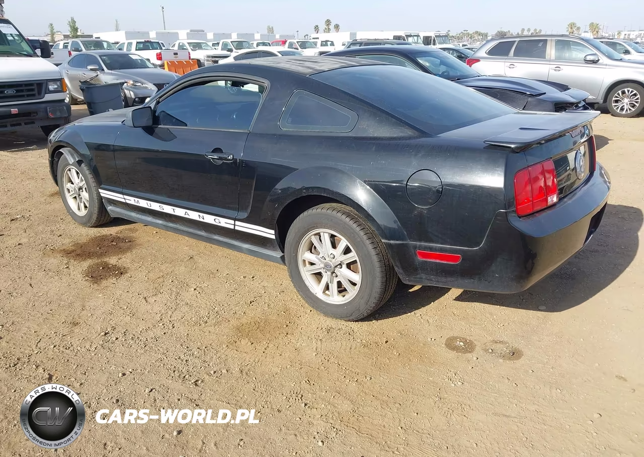 2007 Ford Mustang V6 Deluxe-V6 Premium VIN:1ZVFT80N675341571 - 3