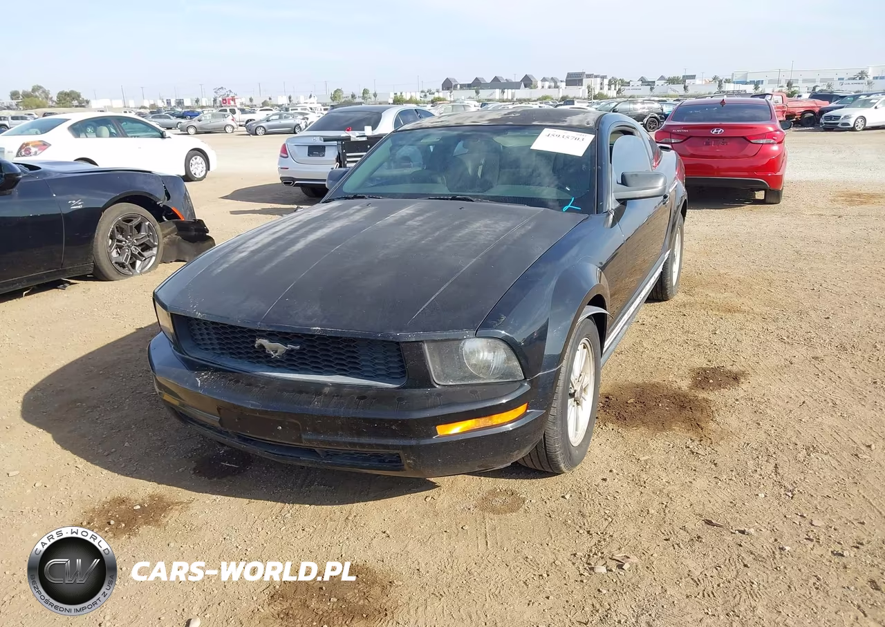 2007 Ford Mustang V6 Deluxe-V6 Premium VIN:1ZVFT80N675341571 - 6