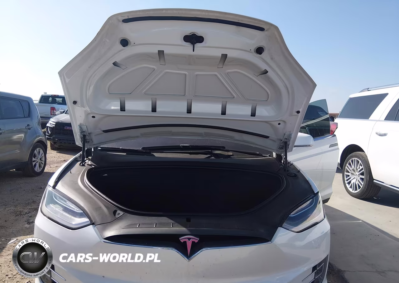 2018 Tesla Model X 100D-75D-P100D VIN:5YJXCBE20JF135526 - 10