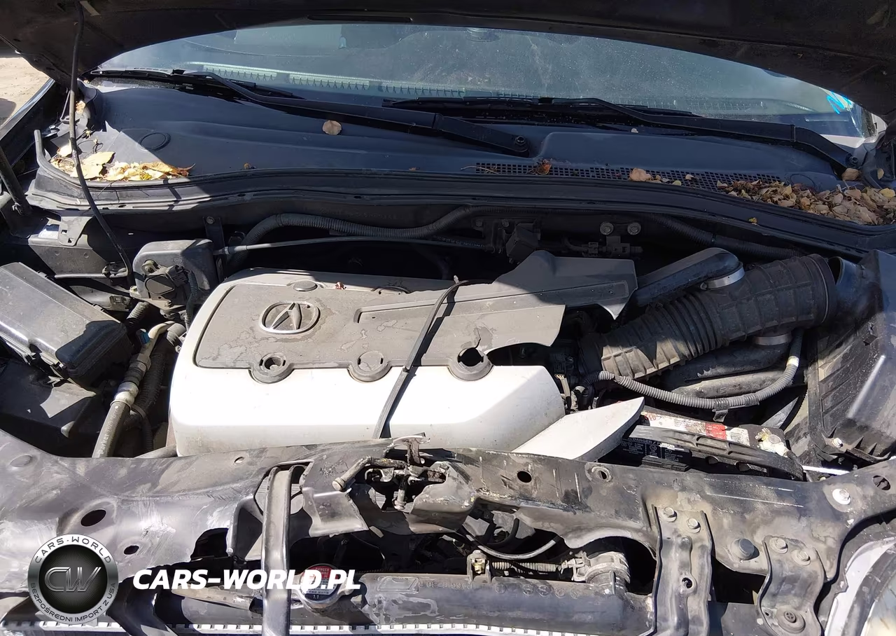 2006 Acura Mdx VIN:2HNYD189X6H502481 - 10