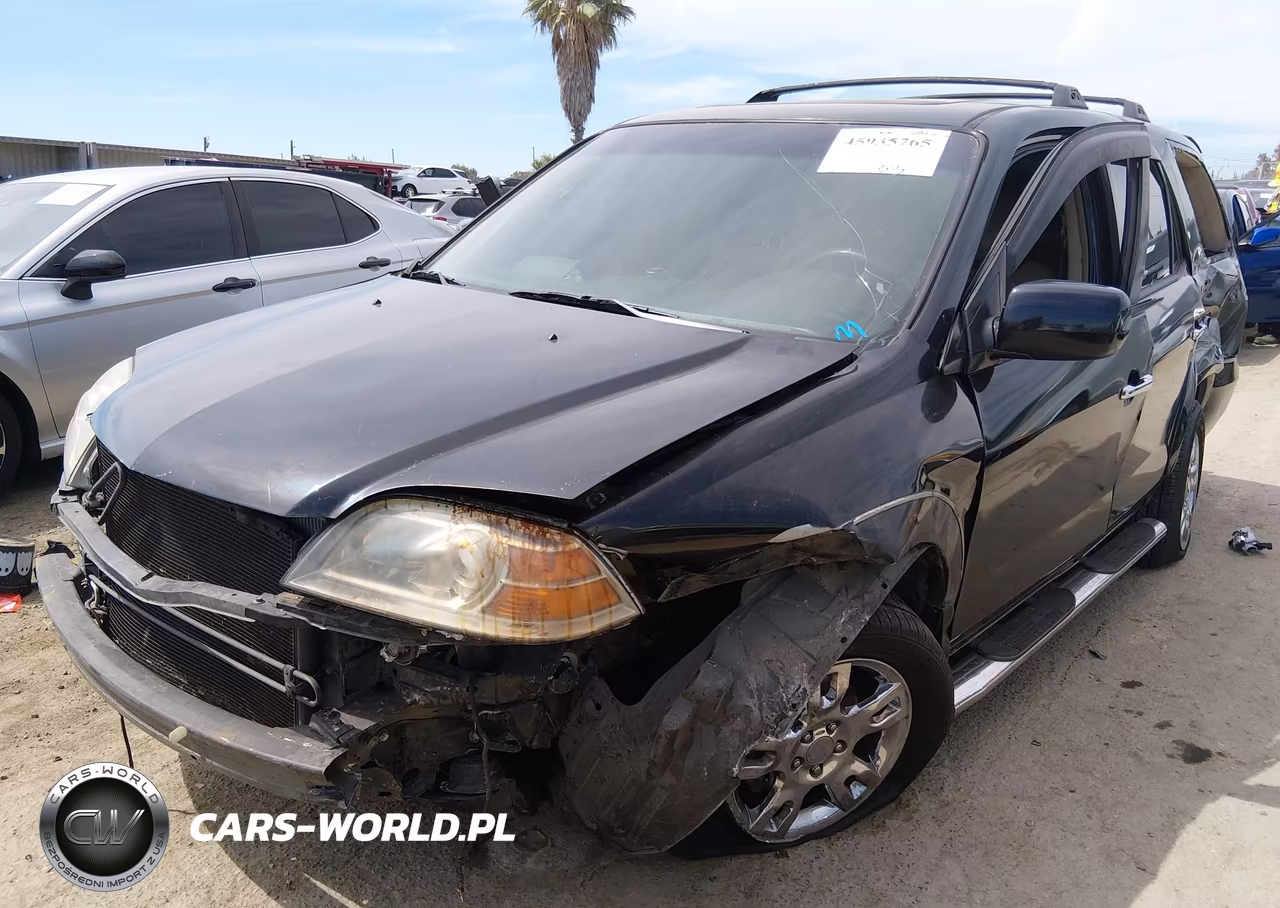 2006 Acura Mdx VIN:2HNYD189X6H502481 - 2