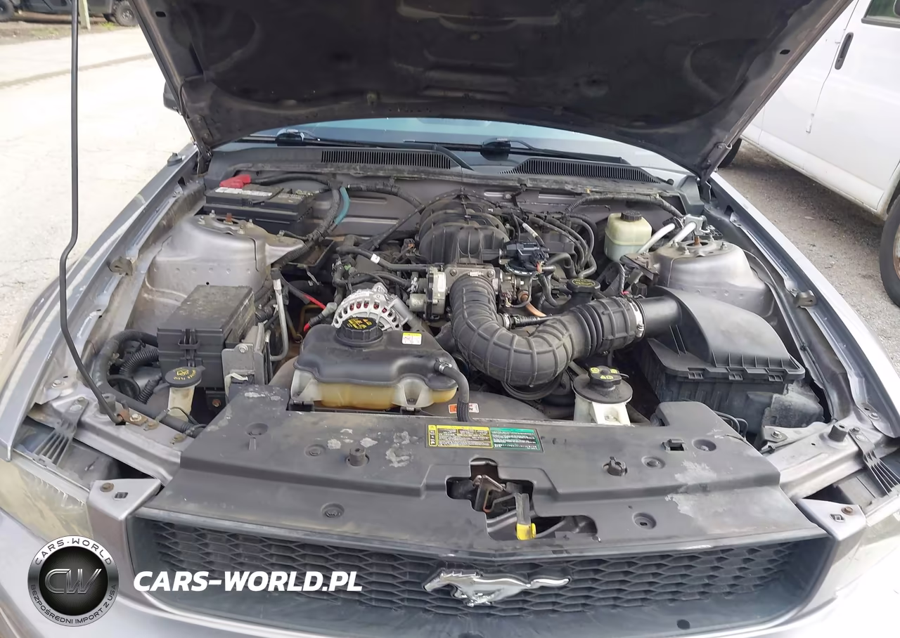 2006 Ford Mustang V6 VIN:1ZVHT84NX65117897 - 10