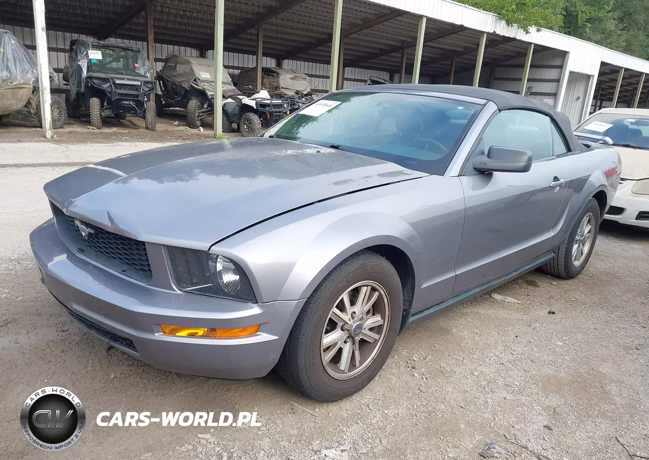 2006 Ford Mustang V6 VIN:1ZVHT84NX65117897 - 2