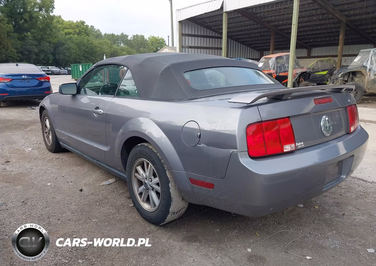 2006 Ford Mustang V6 VIN:1ZVHT84NX65117897 - 3